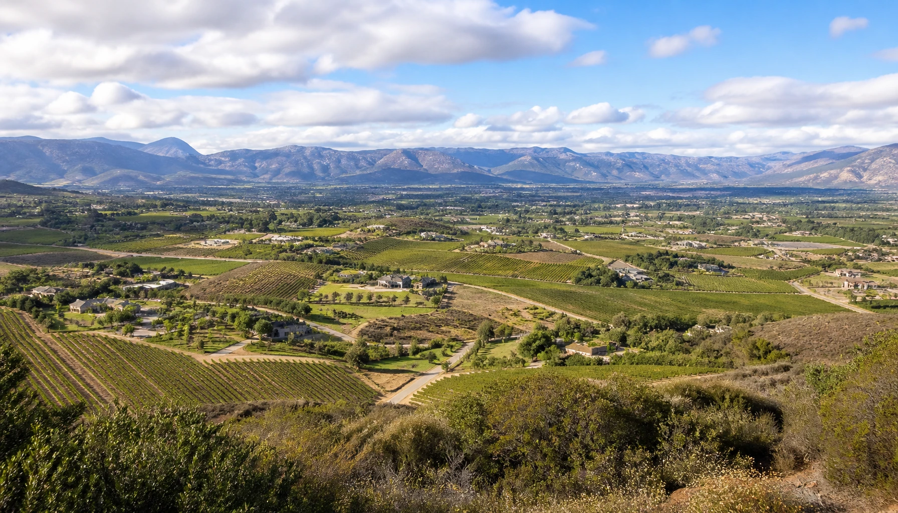 The valley from the southern hills — the whole appellation in one look
