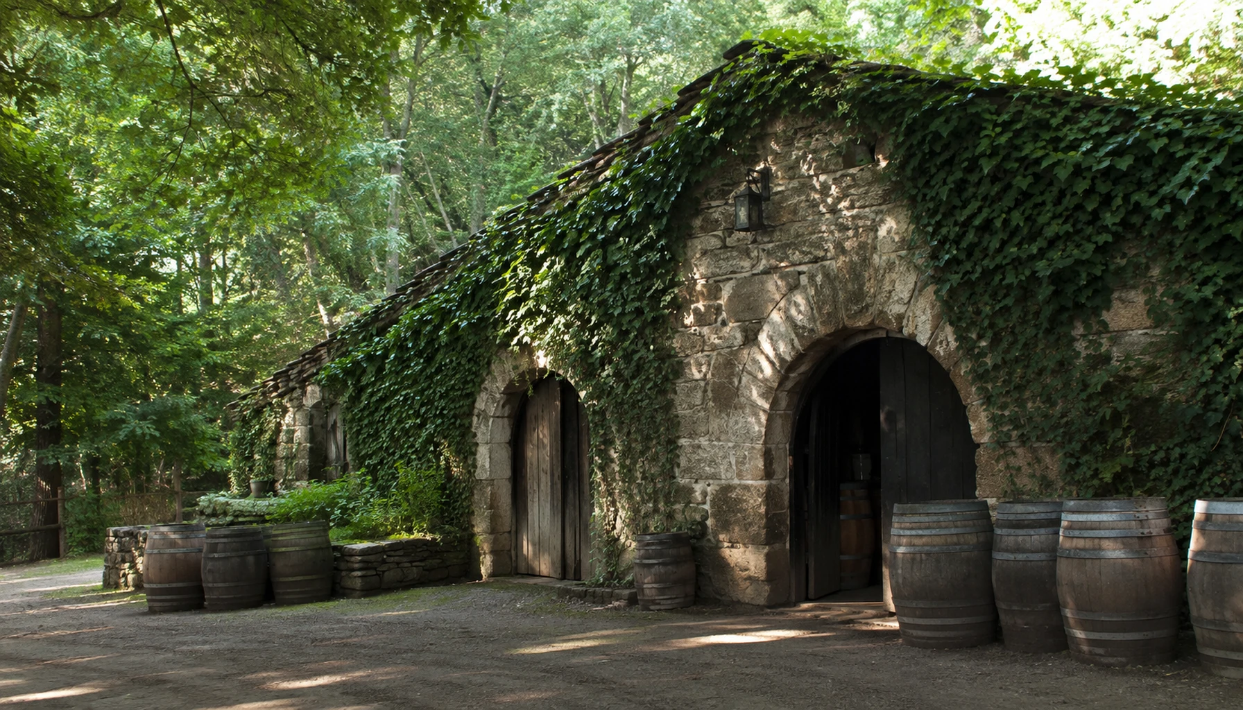 Buena Vista — the 1857 stones where California wine began
