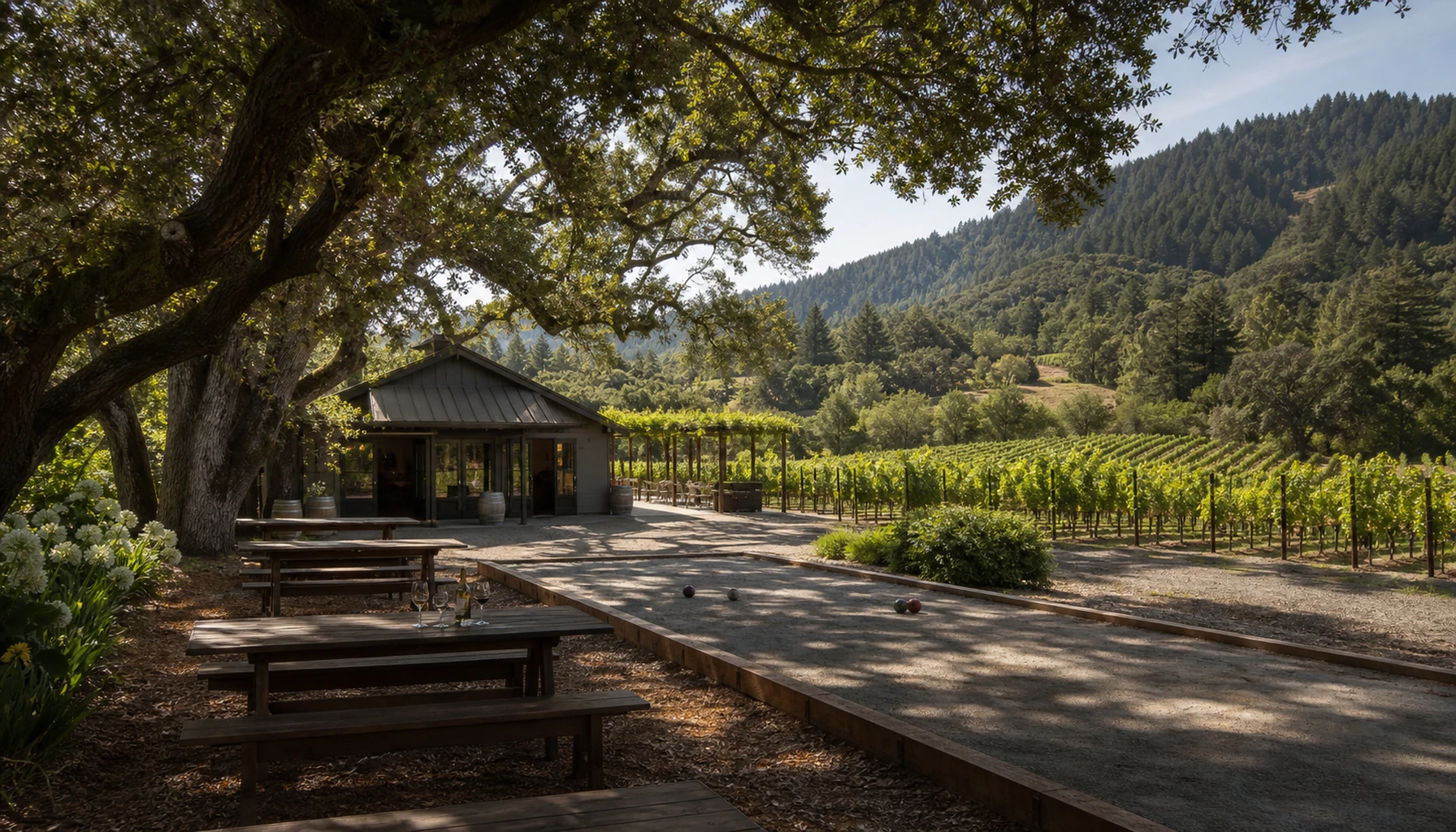 Optima — Dry Creek Valley pours, picnic tables, and no hurry at all