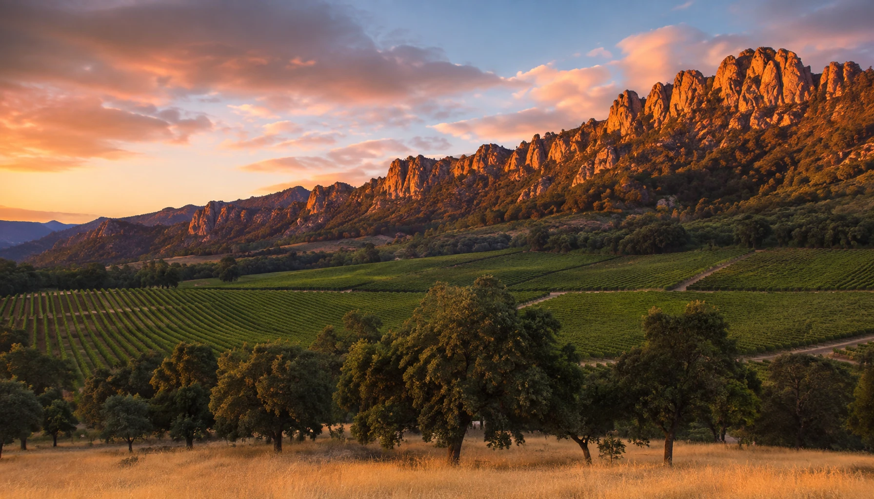 Stag’s Leap — the palisades at last light over the Judgment red’s home ground